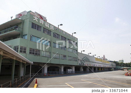 大井競馬場（東京都大田区） 33671044