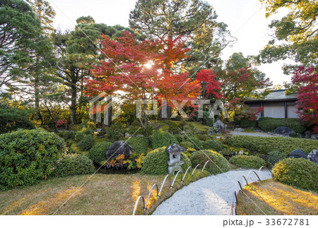 秋の京都観光　紅葉の城南宮　紅葉名所 33672781