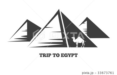 Egyptian pyramids and camel silhouettes 33673761