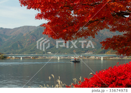河口湖　紅葉　秋　観光船　橋 33674978