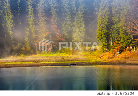 morning fog on the lake in spruce forest morning fog on the lake in spruce forest 33675204