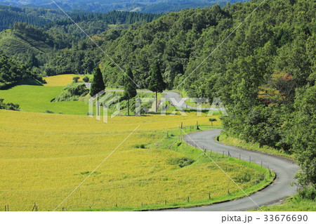 扇田の秋 扇田の秋 33676690