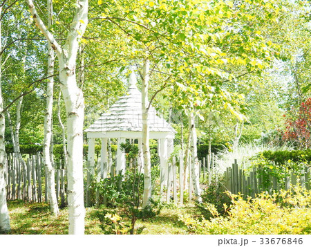 イングリッシュガーデンの風景 33676846
