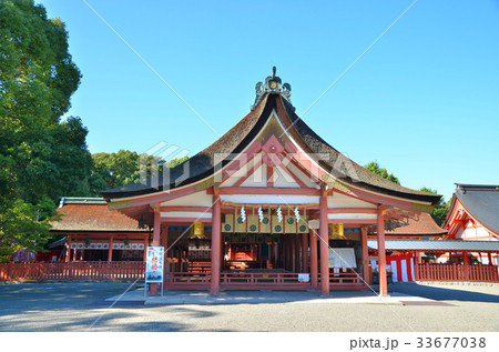 愛知県津島神社 本殿 愛知県津島神社 本殿 33677038