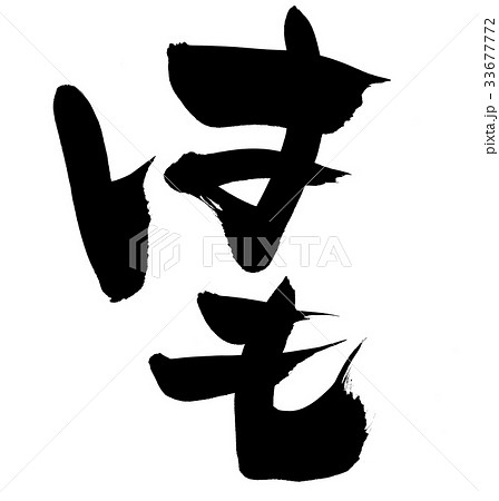 筆文字　はも　鱧　食べ物　イラスト 33677772