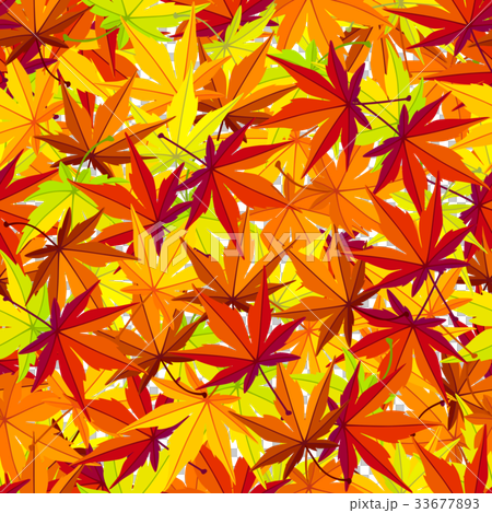 楓樹_3的無縫模式 楓樹_3的無縫模式 33677893