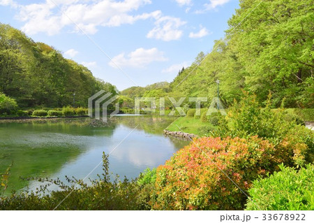 公園 公園 33678922