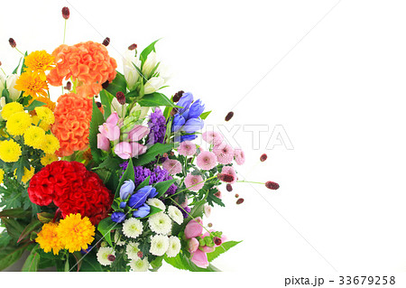 秋のお彼岸の花 33679258