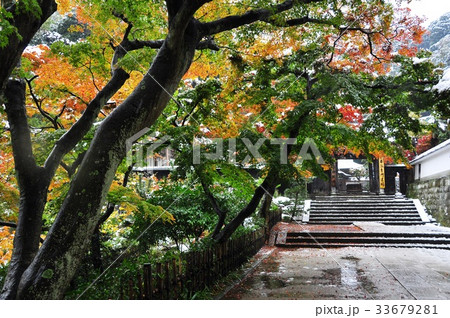 北鎌倉円覚寺山内の紅葉＆雪景色 33679281