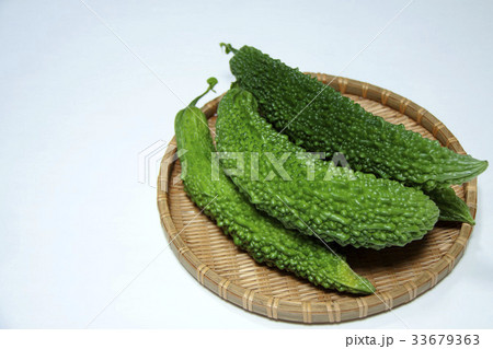 ゴーヤ ゴーヤ 33679363