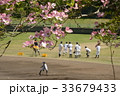 春 33679433