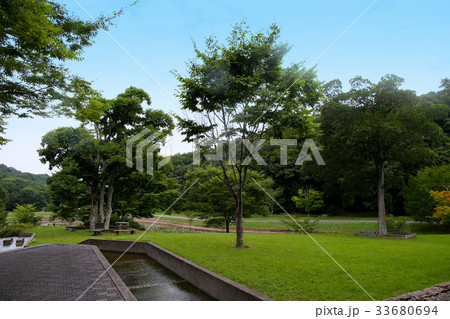 兵庫県立三木山森林公園 兵庫県立三木山森林公園 33680694