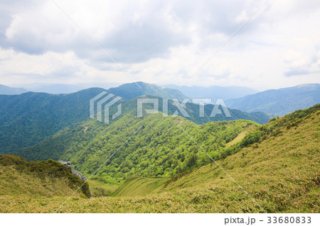 徳島県三好市　三嶺　遊歩道からの風景 33680833