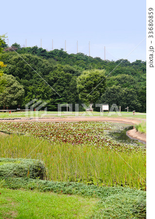 兵庫県立三木山森林公園 33680859