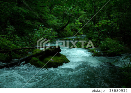 奥入瀬渓流の風景 奥入瀬渓流の風景 33680932