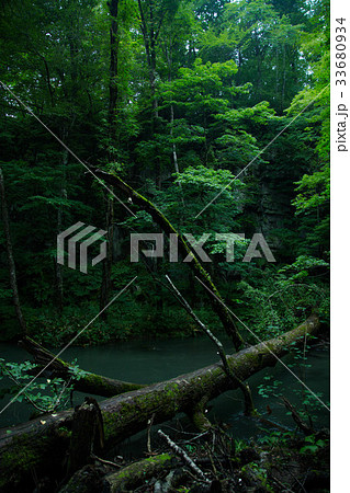 奥入瀬渓流の風景 奥入瀬渓流の風景 33680934