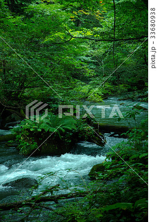 奥入瀬渓流の風景の写真素材 [33680938] - PIXTA
