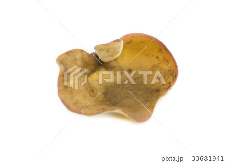 ear mushroom on white background 33681941