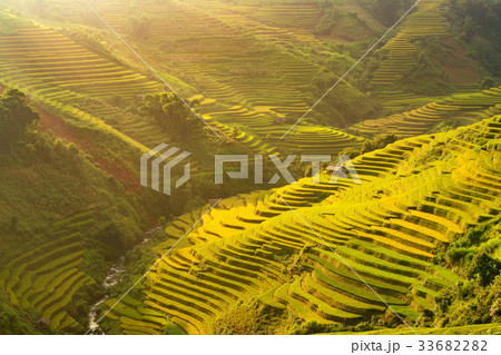 Agriculture rice terrace on mountain beautiful 33682282
