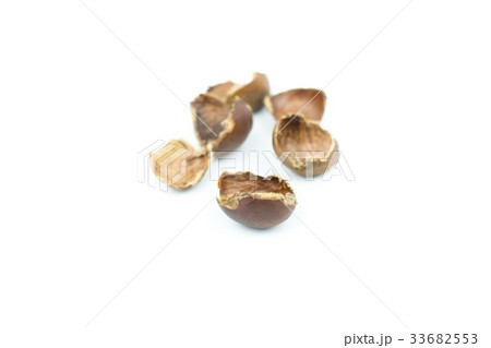 chestnuts shell isolated on white background chestnuts shell isolated on white background 33682553