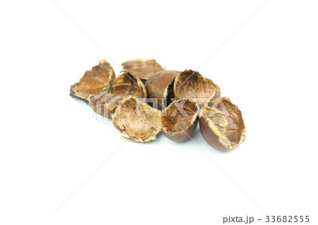 chestnuts shell isolated on white background 33682555
