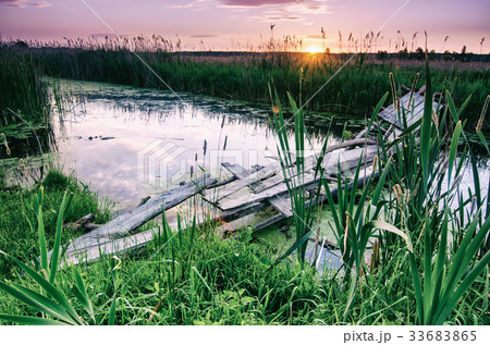 Rural summer sunrise 33683865