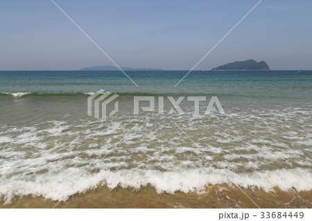 海 33684449