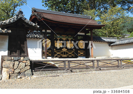 京都 醍醐寺 三宝院唐門 京都 醍醐寺 三宝院唐門 33684508