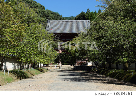 京都　醍醐寺　参道と仁王門 33684561