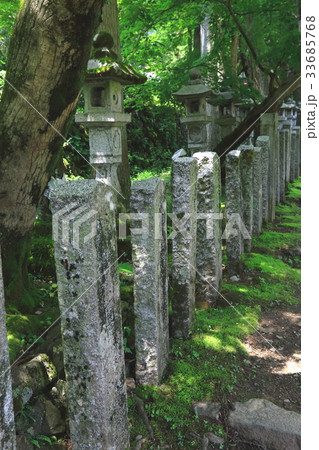 谷汲山華厳寺・49(岐阜県揖斐郡揖斐川町谷汲) 谷汲山華厳寺・49(岐阜県揖斐郡揖斐川町谷汲) 33685768