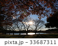 秋の風景 33687311