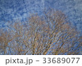 鱗雲 33689077