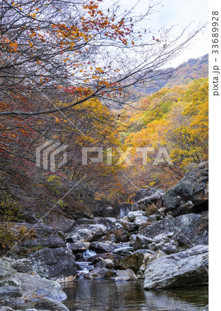 智異山 屋外 室外 33689928