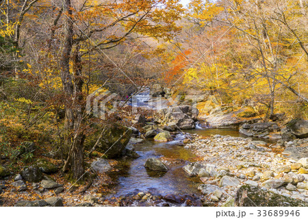 智異山 秋 紅葉 33689946