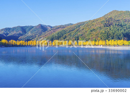 秋 ムングァン貯水池 紅葉 33690002