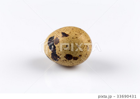 One quail egg One quail egg 33690431
