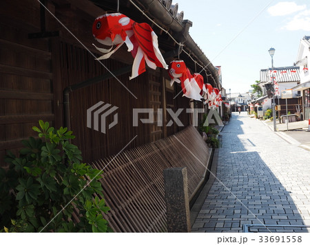 白壁の町の鯉行列 33691558