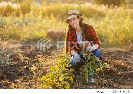 woman gardener with beet 33691698