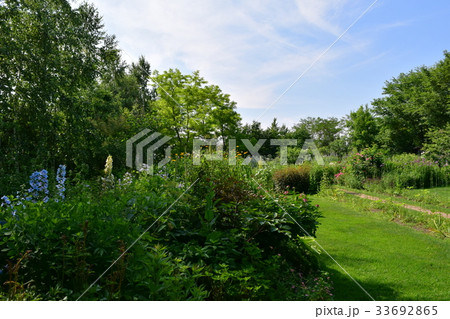 ファームガーデン 33692865