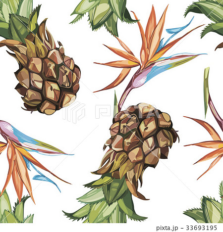 Seamless pattern with tropical flowers and Ananas Seamless pattern with tropical flowers and Ananas 33693195