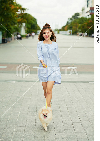 Walking with spitz 33693513