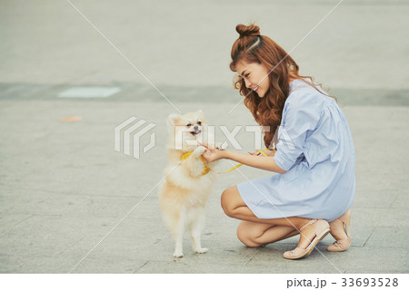 Training dog 33693528