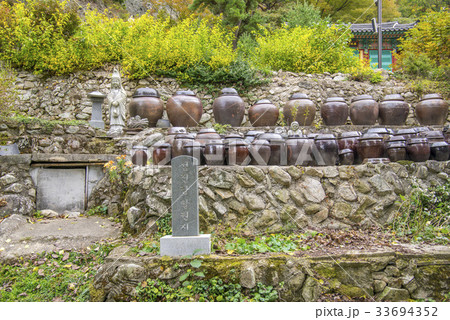 山 植物 雲 33694352