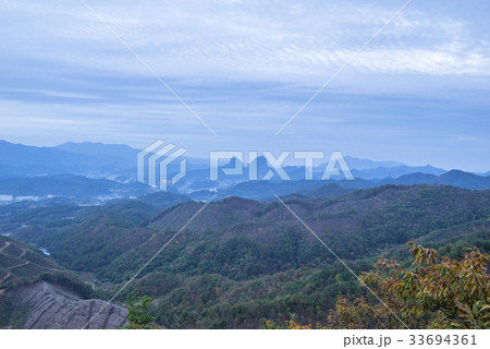 山 木 植物 33694361