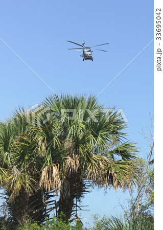 米国フロリダ州の森林上空を飛行する米海軍の艦載機MH-60Rシーホーク対潜ヘリコプター 米国フロリダ州の森林上空を飛行する米海軍の艦載機MH-60Rシーホーク対潜ヘリコプター 33695042