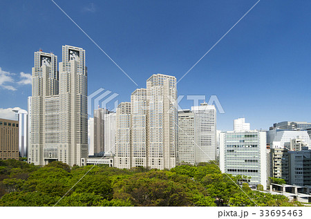 東京風景　春　東京都庁と新宿高層ビル群 33695463