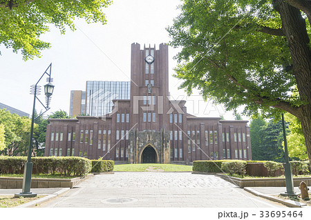 東京大学　安田講堂　春　銀杏並樹 33695464
