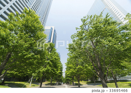 東京風景　品川高層ビル街　春　新緑 33695466