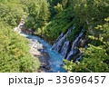 白ひげの滝3 33696457