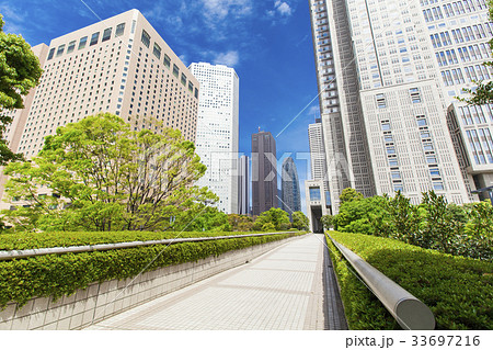 オフィス街の高層ビルと緑 33697216